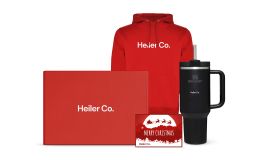 Paquet cadeau de Noël festif