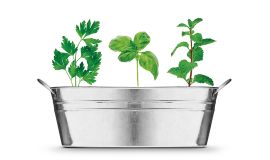 Bac à plantes avec sacs à herbes
