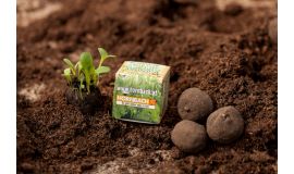 Bombes à graines Moods® en boîte (1 pièce) 