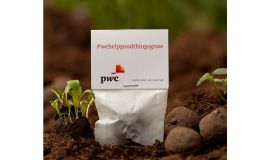 Bombes à graines Moods® dans un sac en papier (1 pièce) 